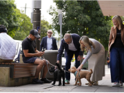 অ্যালবানিজের কফির চুমুকেই শুরু হলো বিজয়ের সকাল