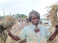 হাওরে ডুবে স্বপ্ন: ধান হারিয়ে খোরাক সংকটে কৃষক