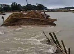 সুনামগঞ্জের হাওরে ফসল হারিয়ে বর্গা চাষিরা দুশ্চিন্তায়